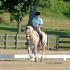 CTDA Dressage Schooling Show